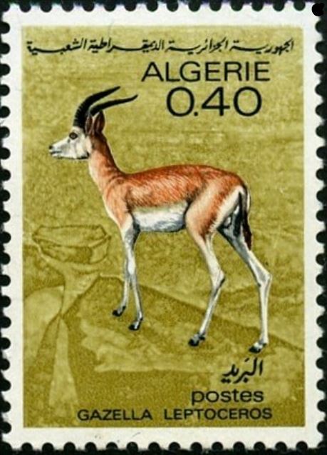 Stamp
