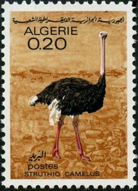 Stamp