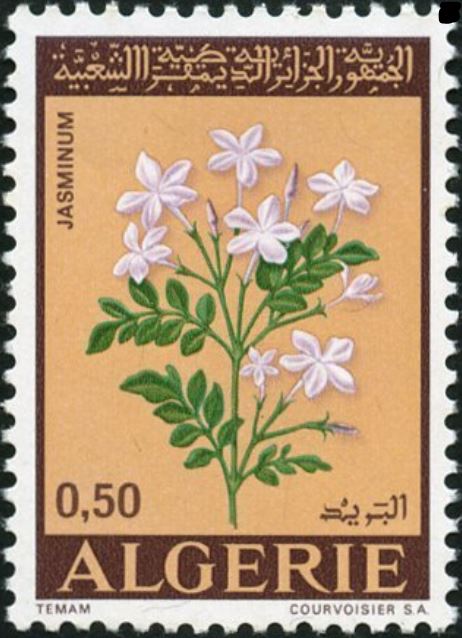 Stamp