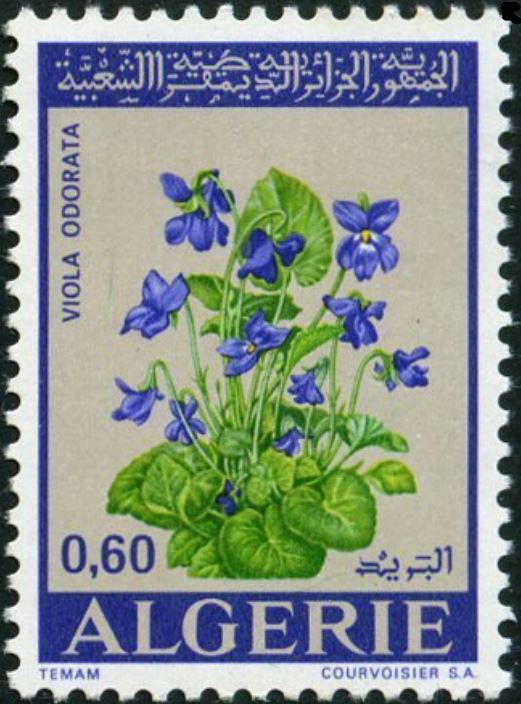 Stamp