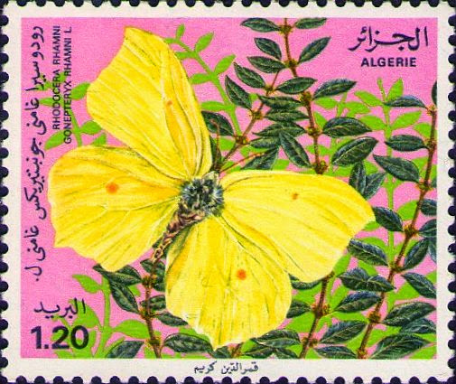Stamp