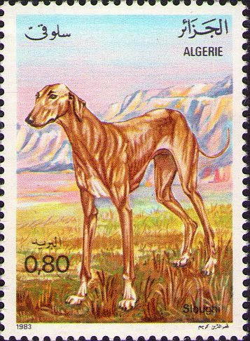 Stamp