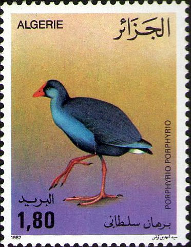 Stamp