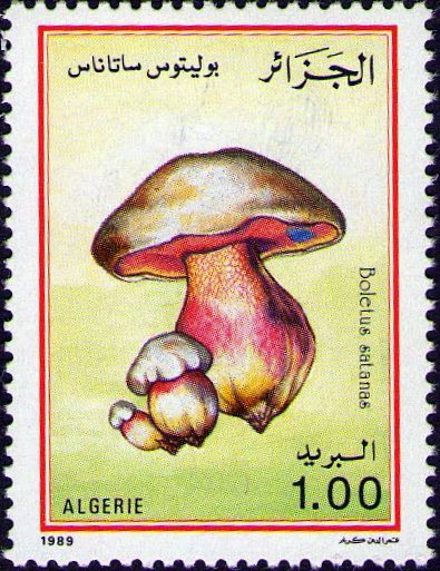 Stamp