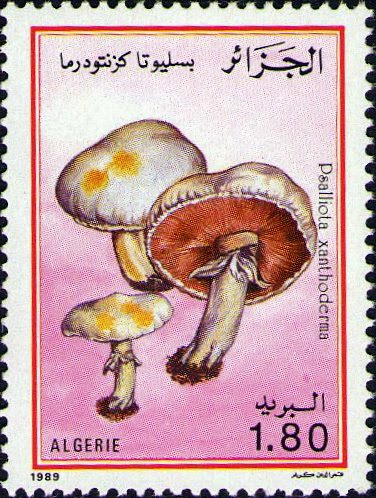 Stamp