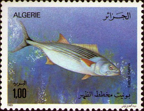 Stamp