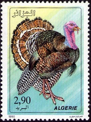 Stamp