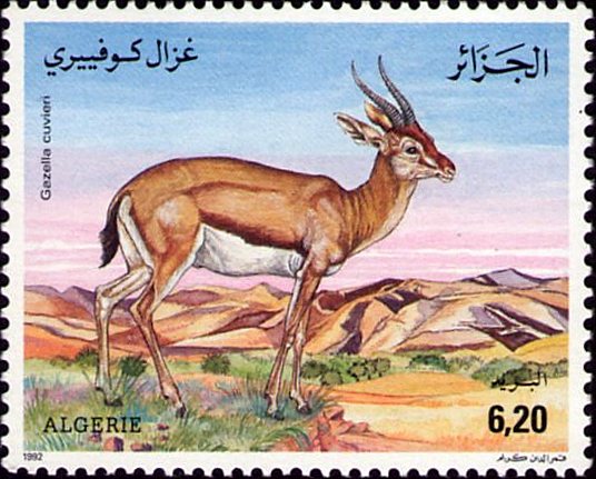 Stamp