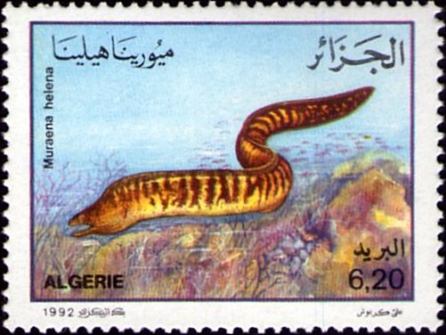 Stamp