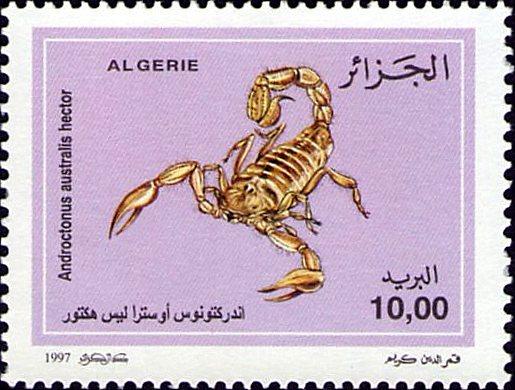 Stamp