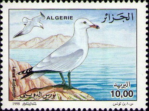 Stamp