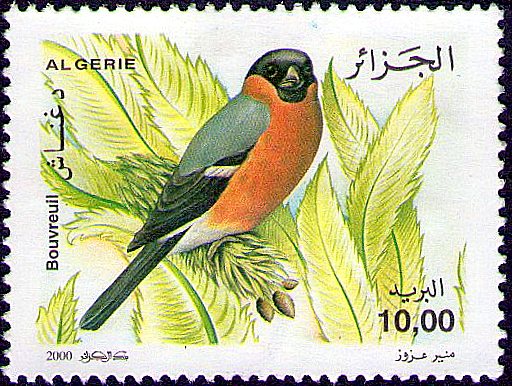 Stamp