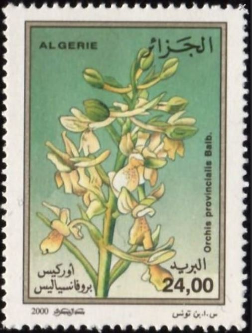 Stamp