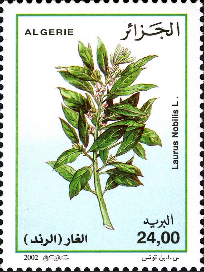 Stamp