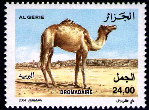 Stamp