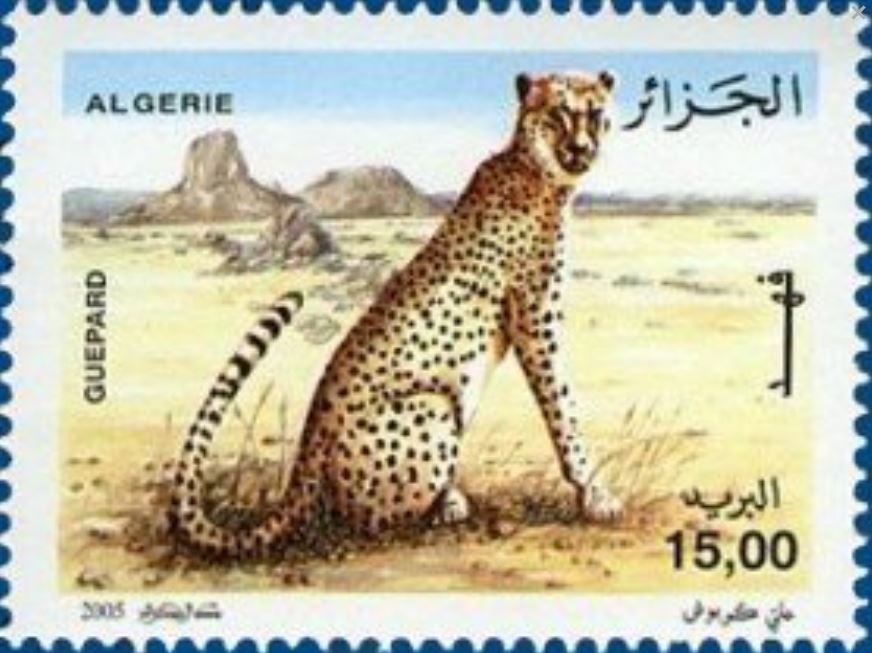 Stamp