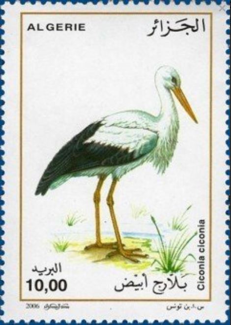 Stamp