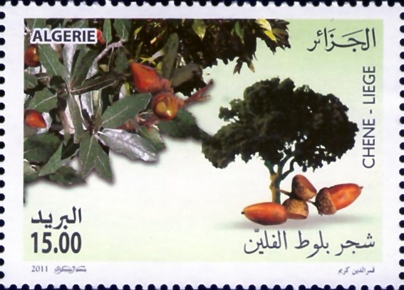 Stamp