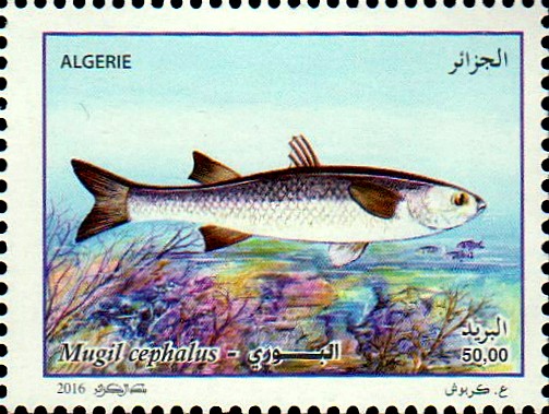 Stamp