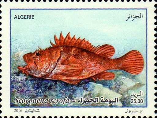 Stamp
