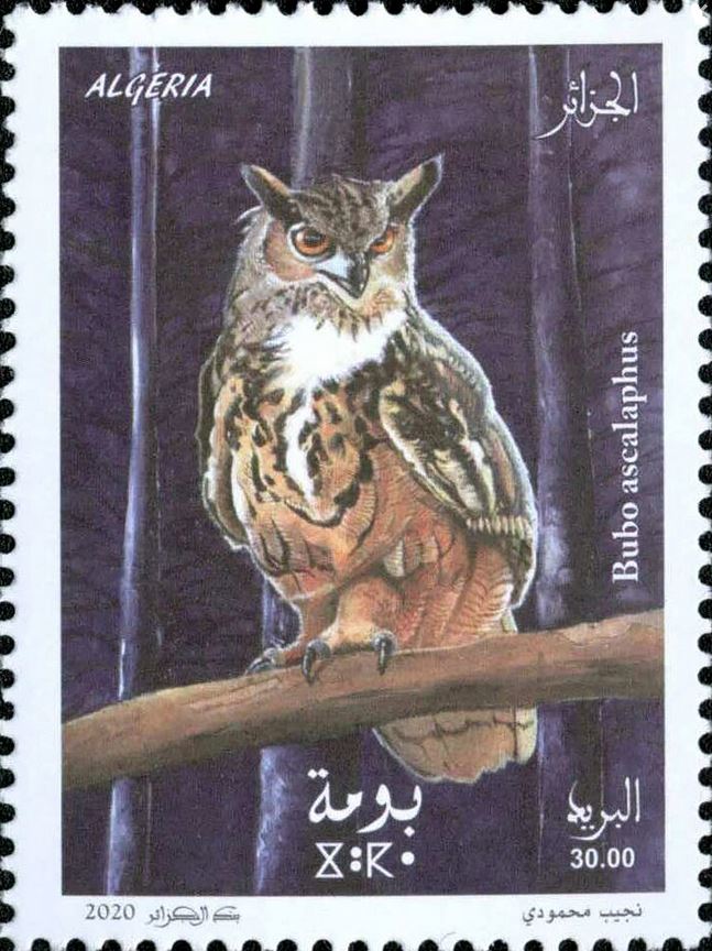 Stamp