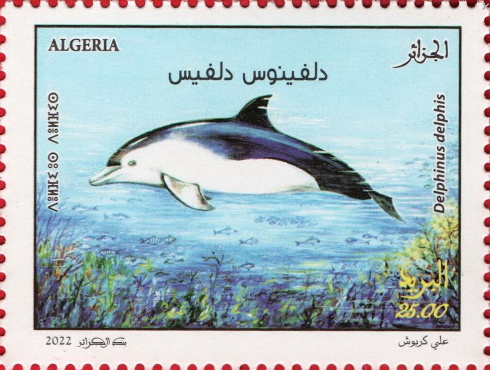 Stamp