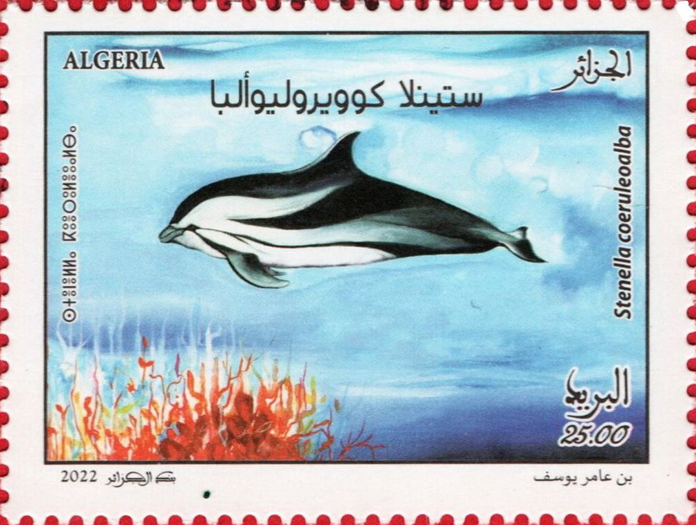 Stamp