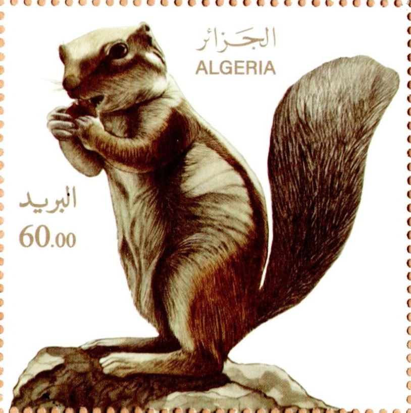 Stamp