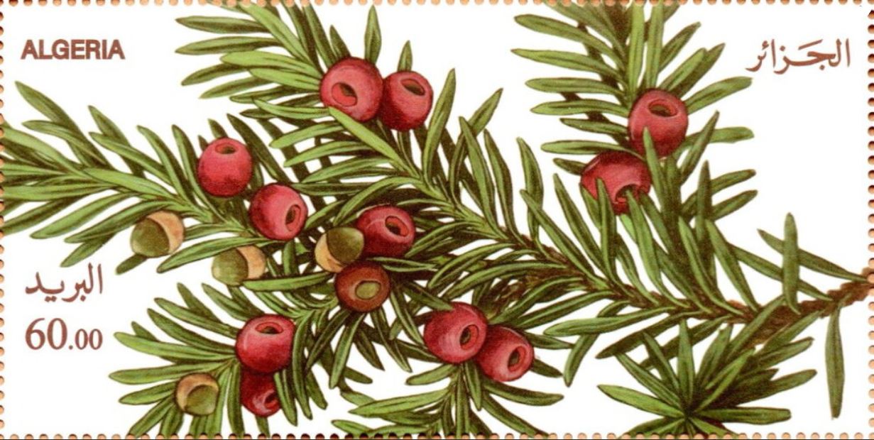Stamp