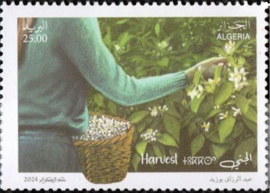 Stamp