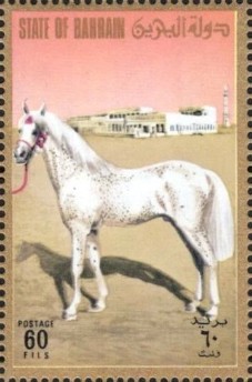 Arabian Horse - 60 fils