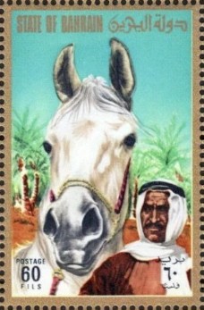 Arabian Horse - 60 fils