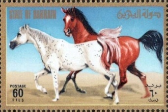 Arabian Horse - 60 fils