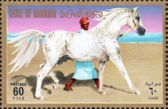 Arabian Horse - 60 fils