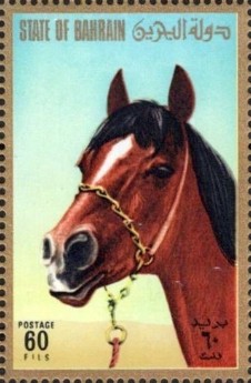 Arabian Horse - 60 fils