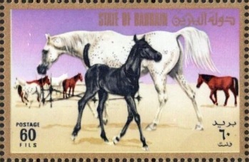 Arabian Horse - 60 fils