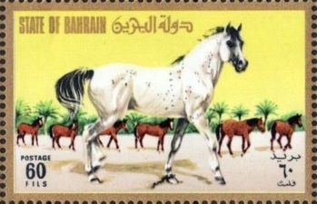 Arabian Horse - 60 fils