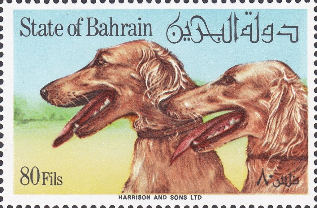 Stamp