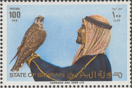 Falconer with Peregrine Falcon (Falco peregrinus)