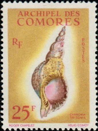 Stamp