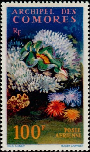 Stamp