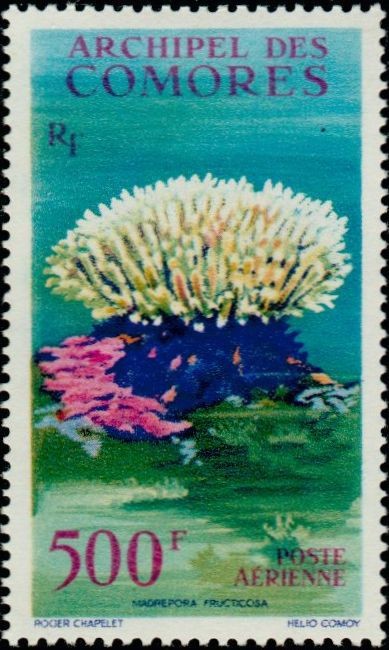 Stamp