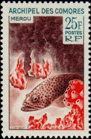 The Grouper