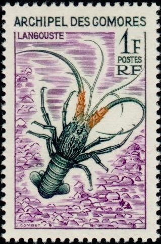 The Spiny Lobster