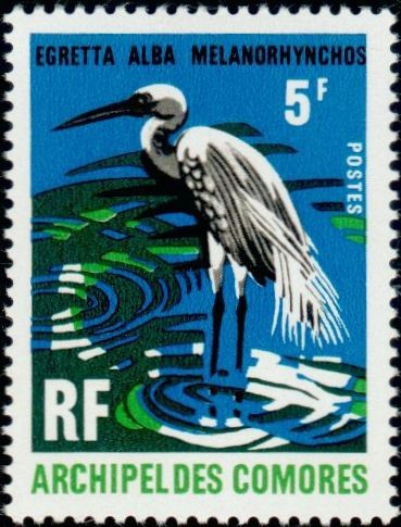 The Great Egret