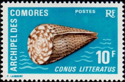 The Lettered Cone