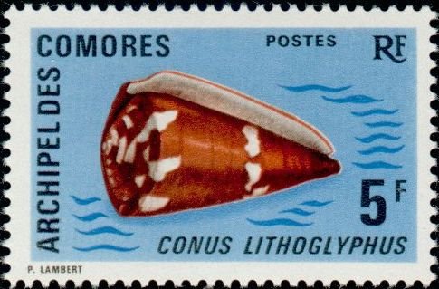 The Lithograph Cone
