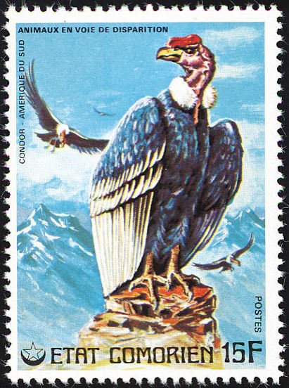 Stamp