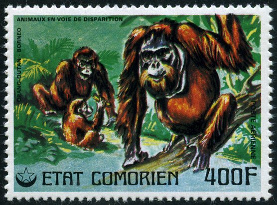 Stamp