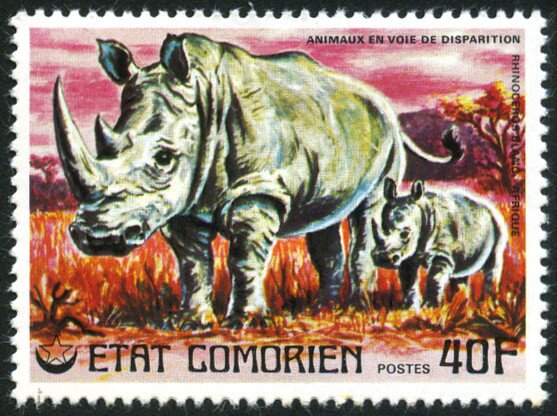 Stamp